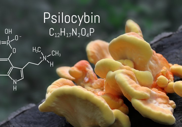 Revolution in Psychiatry: What Psilocybin Legalization Means in Practice